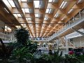 IMG_4155